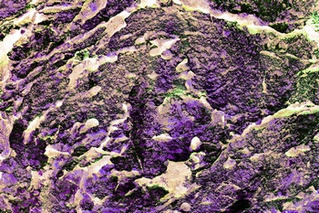 AP 77A1